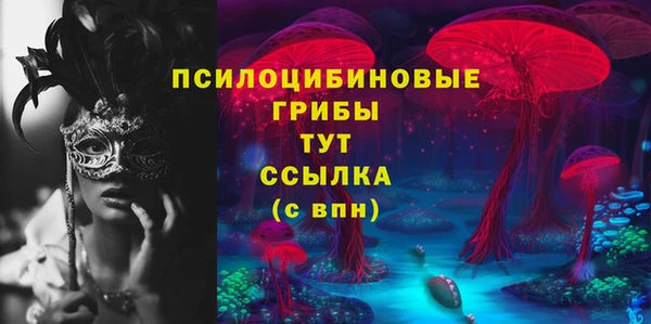 соль ск Верея